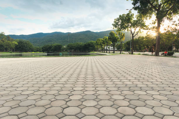 Best Custom Driveway Pavers  in South Rosemary, NC